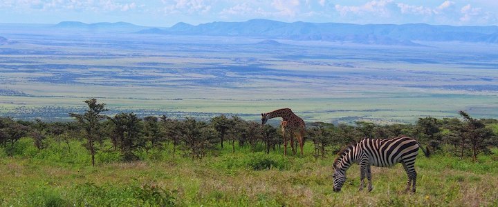 partez à l’aventure avec un incontournable safari et découvrez la faune sauvage dans son habitat naturel. vivez une expérience unique et des rencontres extraordinaires lors d’un voyage inoubliable en pleine nature.
