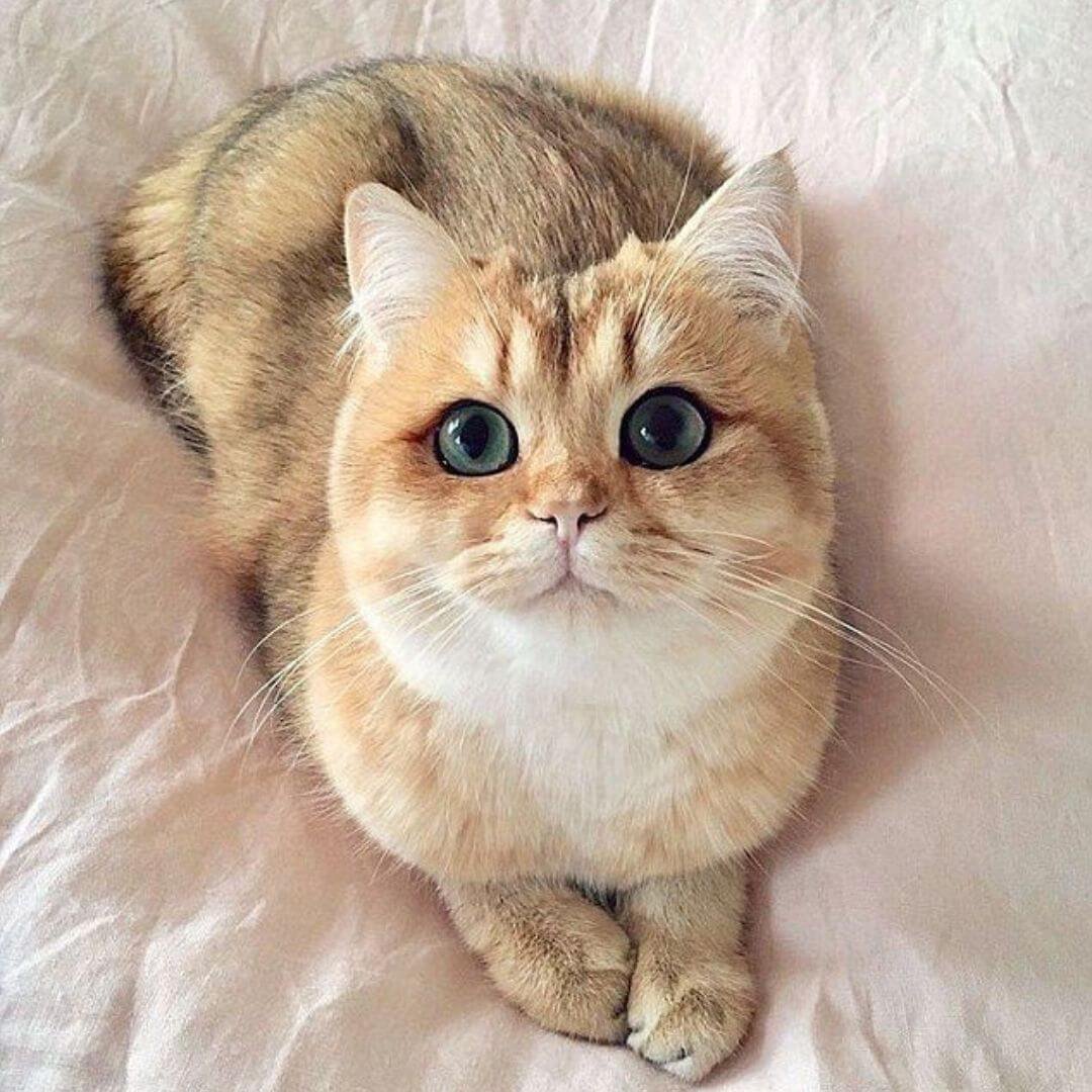 découvrez notre sélection des meilleurs chats de groupe pour discuter, partager et échanger facilement avec vos amis ou collègues en toute convivialité.